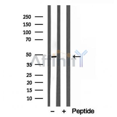 Валидация Affinity DF12155 - 6346