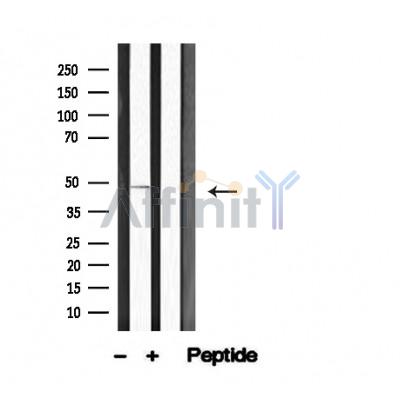 Валидация Affinity AF4720 - 2337