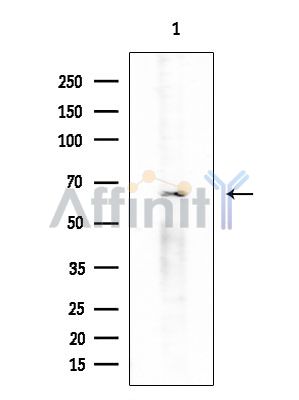 Валидация Affinity DF4381 - 15857