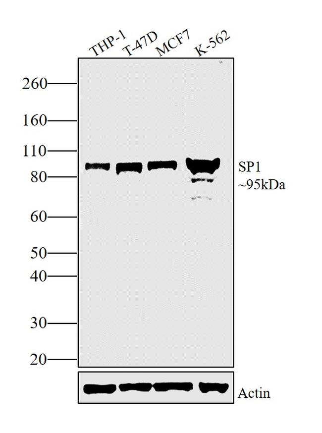 Валидация AssayVector ARM1973(2865)