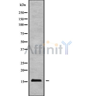 Валидация Affinity DF9618 - 22334