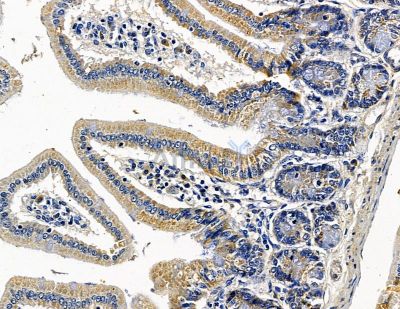 Валидация Affinity DF13940 - 9686