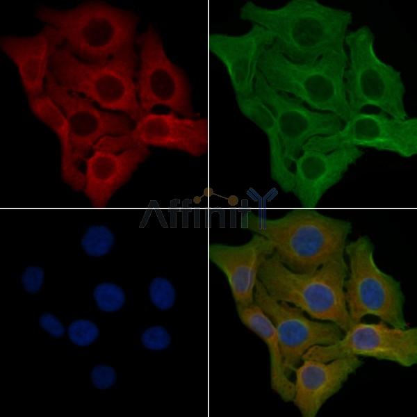 Валидация Affinity DF5150 - 17114