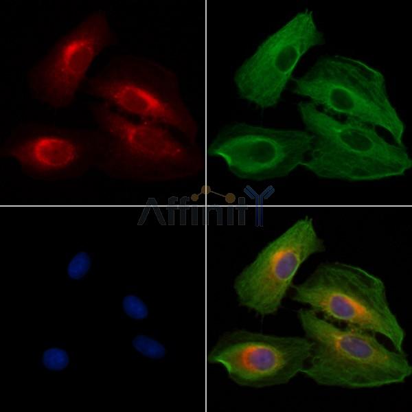 Валидация Affinity DF3456 - 14365