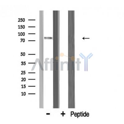 Валидация Affinity AF5317 - 2878