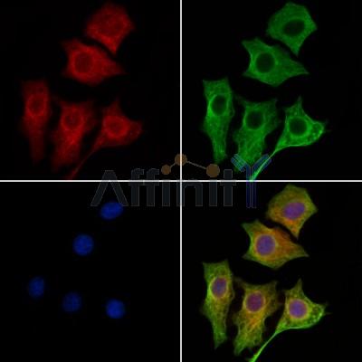 Валидация Affinity AF6156 - 3373