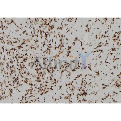 Валидация Affinity AF9003 - 4718