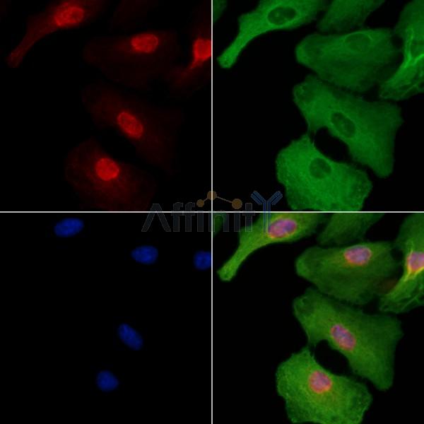 Валидация Affinity DF2594 - 13280