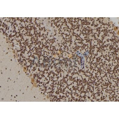 Валидация Affinity AF6233 - 3470