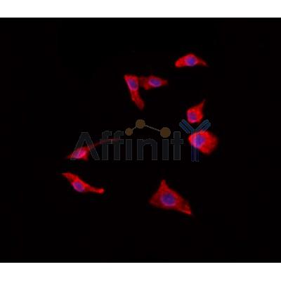 Валидация Affinity DF3541 - 14488