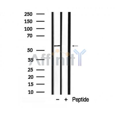 Валидация Affinity AF7912 - 4658
