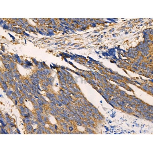 Валидация Affinity DF3561 - 14508