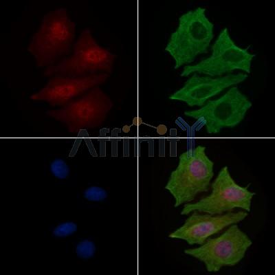 Валидация Affinity AF6305 - 3574