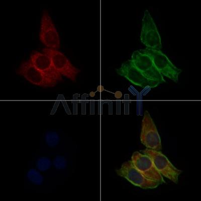 Валидация Affinity DF7349 - 19058