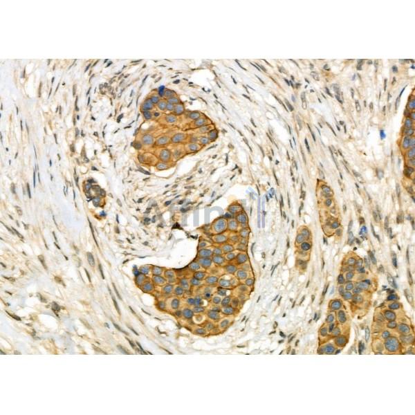 Валидация Affinity DF6916 - 18517