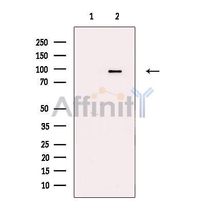 Валидация Affinity DF13741 - 9389