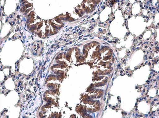 Валидация AssayVector ARM1550(1566)