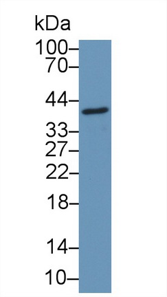8705