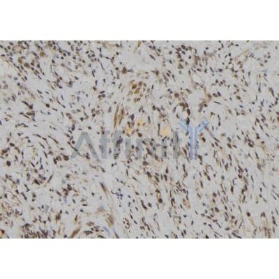 Валидация Affinity DF10152 - 5680