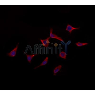 Валидация Affinity DF12128 - 6286