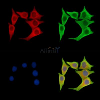 Валидация Affinity DF14836 - 10959