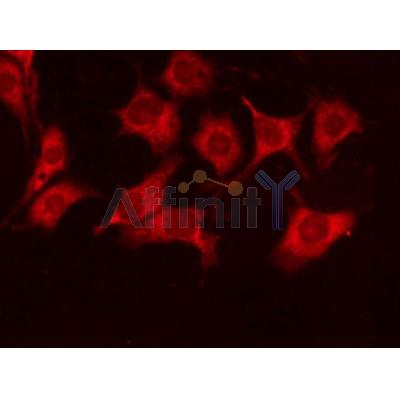 Валидация Affinity T0022 - 23065