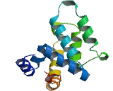 Regulator Of G Protein Signaling 4 (RGS4) Regulator Of G Protein Signaling 4 (RGS4)