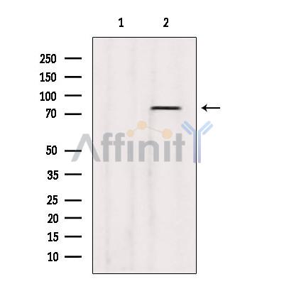 Валидация Affinity DF8315 - 20167