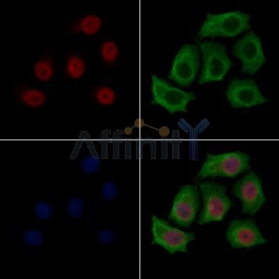 Валидация Affinity AF7744 - 4443