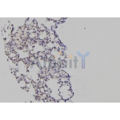 Валидация Affinity DF6939 - 18552