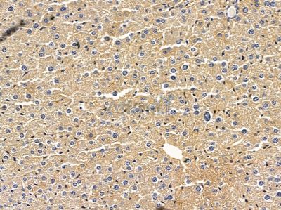 Валидация Affinity DF10270 - 5876