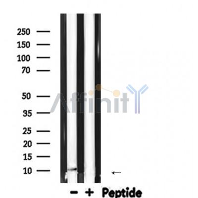 Валидация Affinity DF7577 - 19341