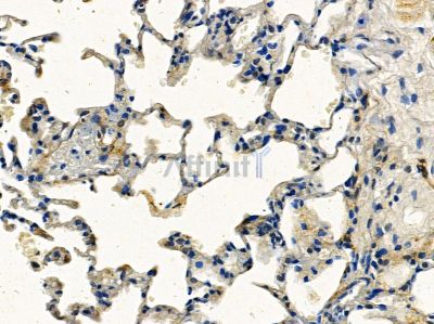 Валидация Affinity DF7002 - 18640