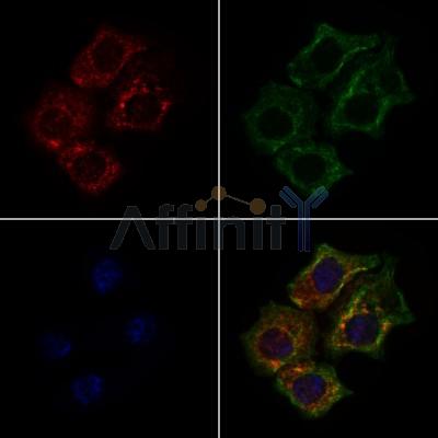 Валидация Affinity AF7600 - 4269