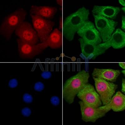 Валидация Affinity AF3490 - 2020