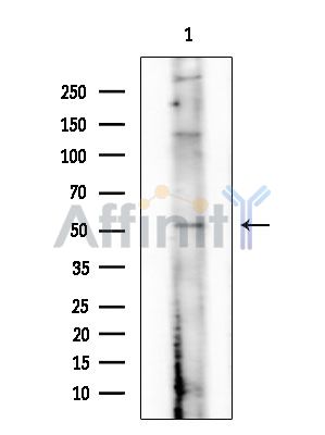 Валидация Affinity AF6769 - 4015