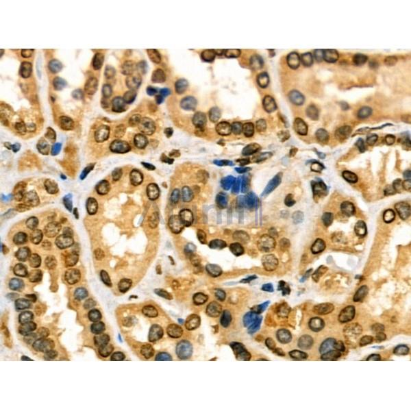 Валидация Affinity DF3051 - 13782