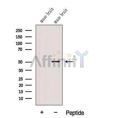Валидация Affinity DF12604 - 7229