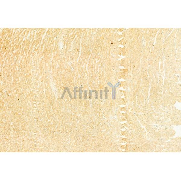 Валидация Affinity DF6133 - 17361