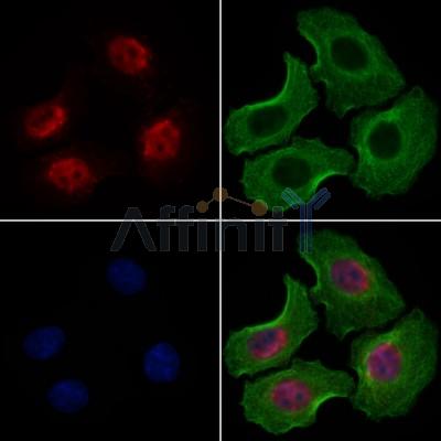 Валидация Affinity DF7243 - 18897