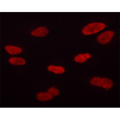 Валидация Affinity AF3475 - 1997