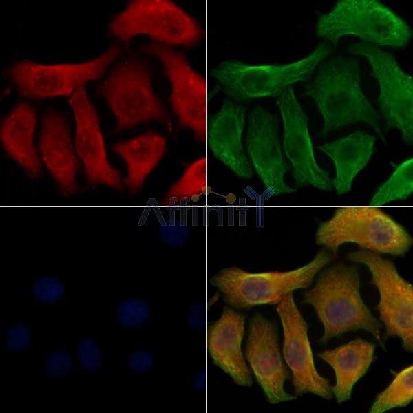 Валидация Affinity DF8582 - 20491