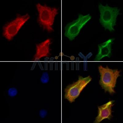 Валидация Affinity DF12082 - 6172