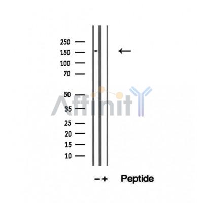 Валидация Affinity DF12507 - 7096