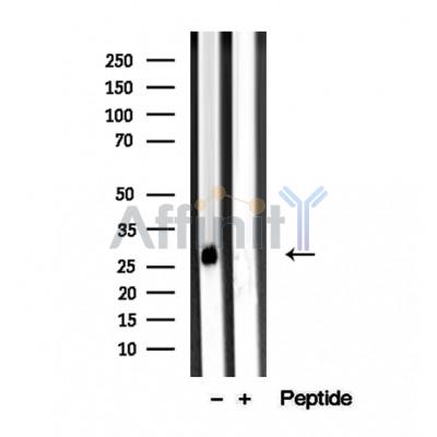 Валидация Affinity DF12349 - 6781