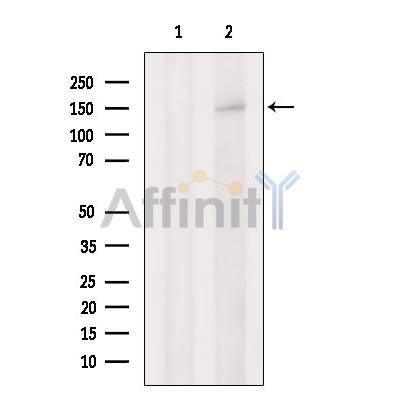 Валидация Affinity DF7696 - 19478