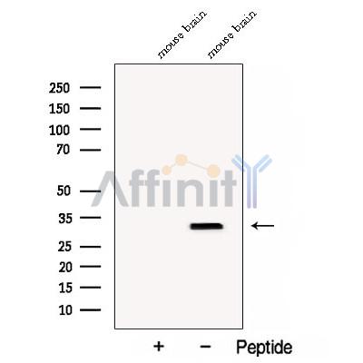 Валидация Affinity DF12900 - 7647
