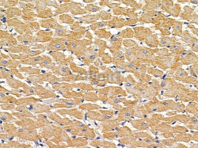 Валидация Affinity DF8821 - 20882