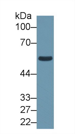 12300