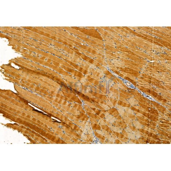 Валидация Affinity DF8624 - 20559